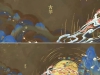八张图带你了解古琴美学~