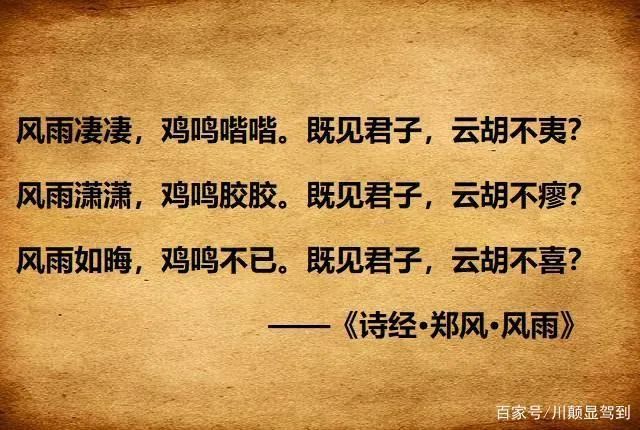a9b237bbef6f9e9733a944de6b494992.jpg